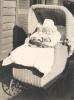 Billy Swanton at 9 months (Marion Cross Swanton's son)_thumb.jpg 2.6K